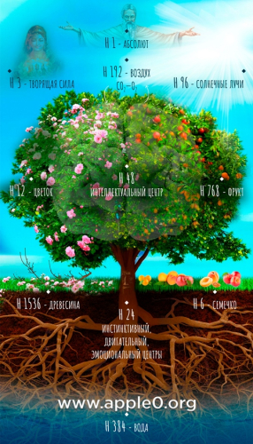 Дерево и водороды